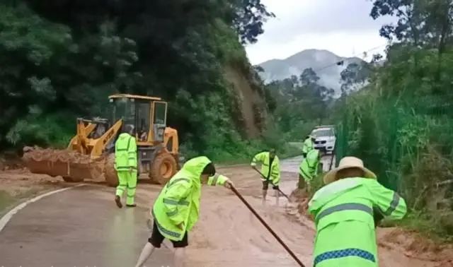 受訪者 供圖 圖片