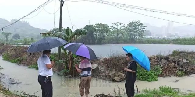 受訪者 供圖 圖片