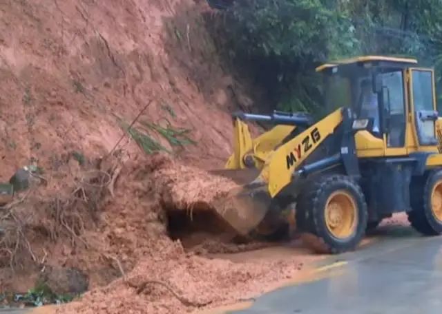 受訪者 供圖 圖片